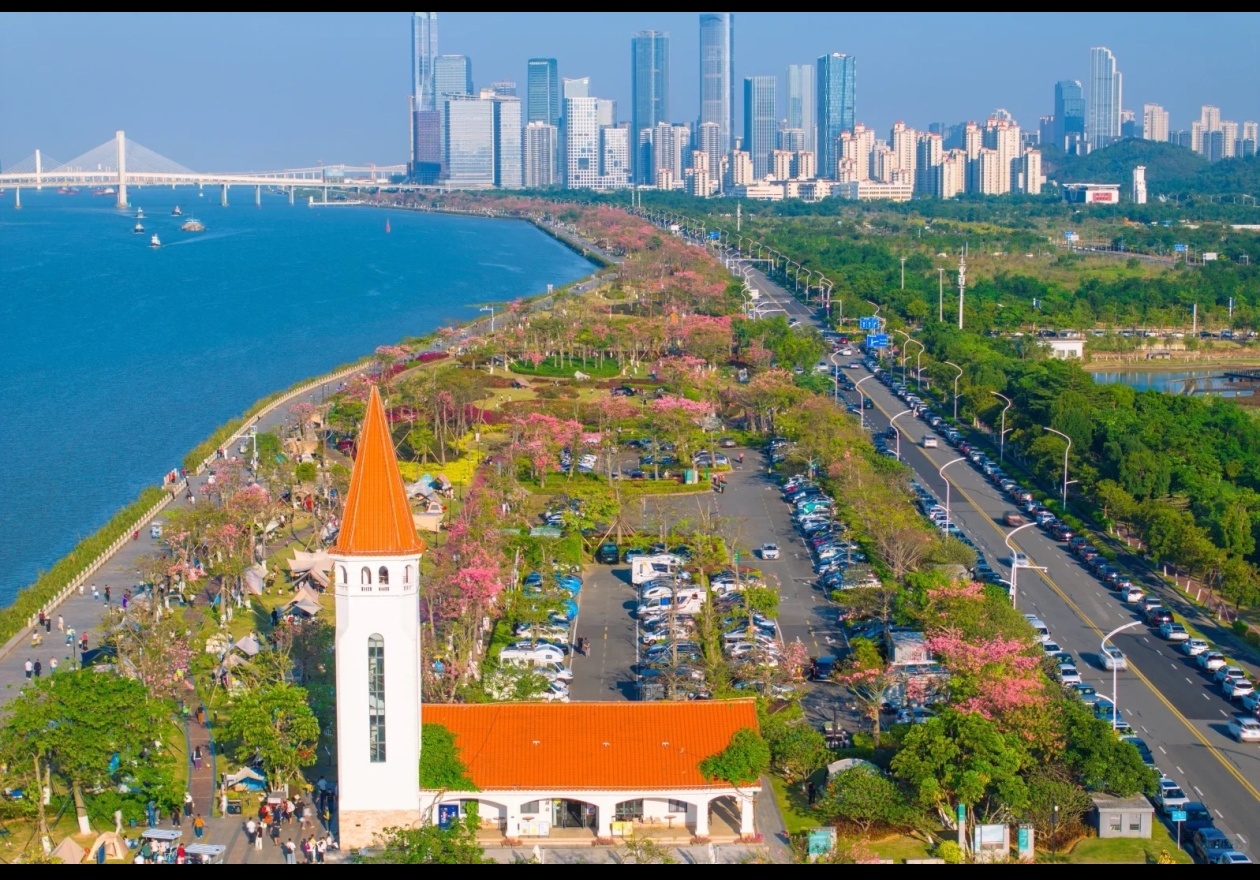 橫琴花海長廊沿海步道與二號驛站,盛開的花樹延伸至遠方